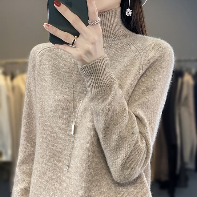 Turtleneck Plain Sweater