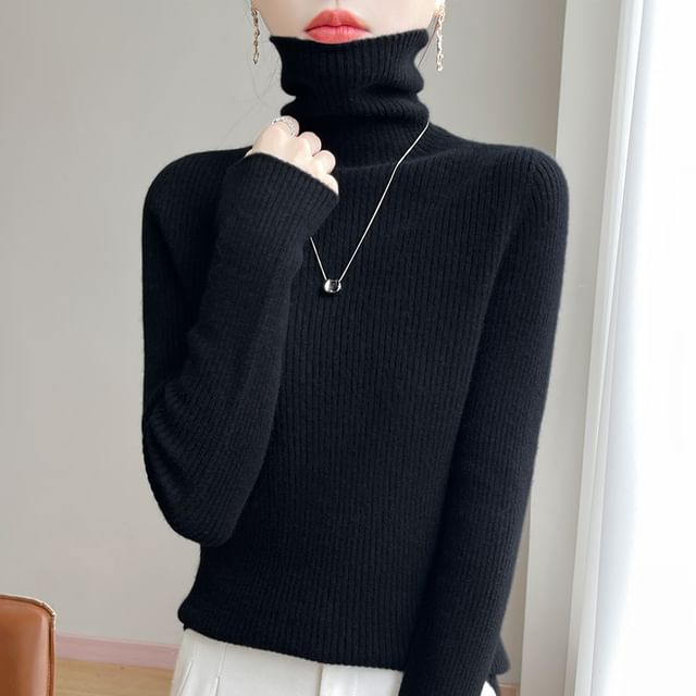 Long-Sleeve High Neck Plain Ribbed Knit Top