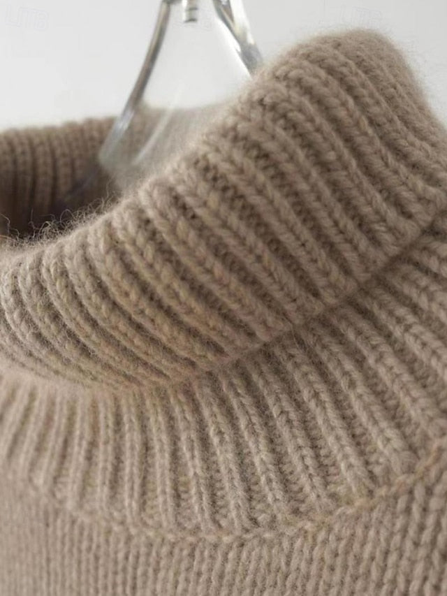 Women's Sweater Pullover Streetwear Casual Solid Color