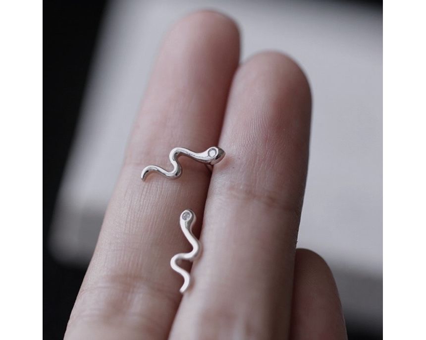 Snake Silver Earring Sterling