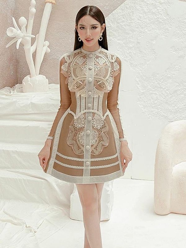 Long-Sleeve Paneled Button-Up Mini A-Line Lace Dress