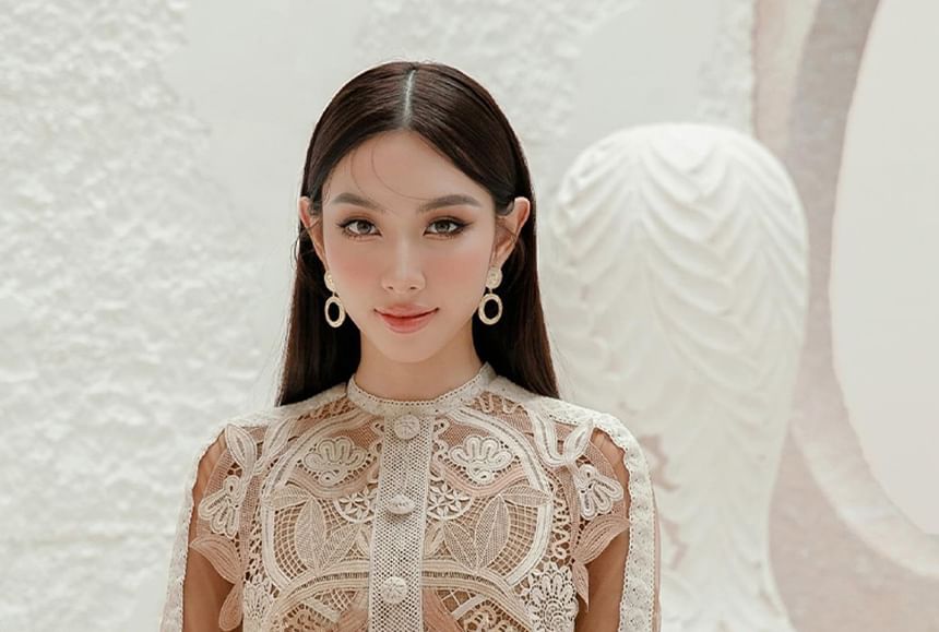 Long-Sleeve Paneled Button-Up Mini A-Line Lace Dress