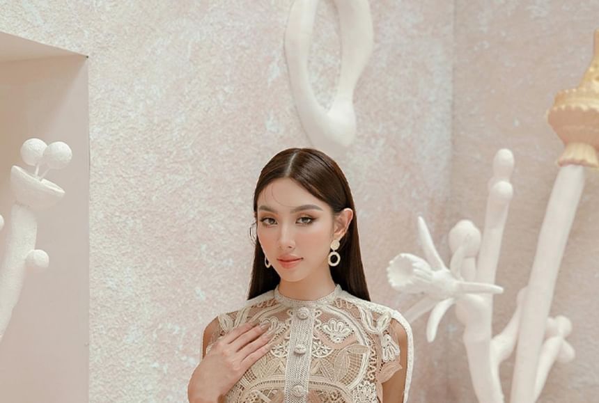 Long-Sleeve Paneled Button-Up Mini A-Line Lace Dress