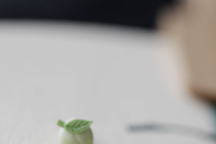 Earring Peach Stud Ceramic