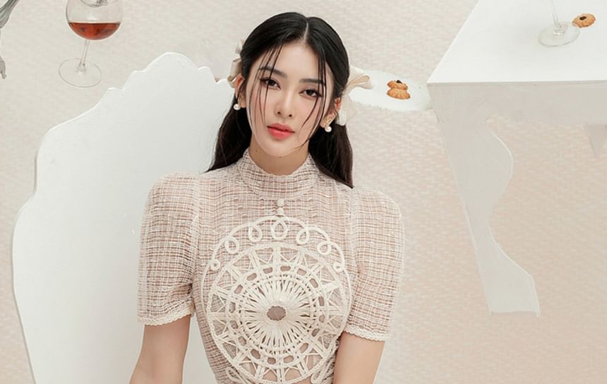 Short-Sleeve High Neck Crochet Lace Panel Midi A-Line Mesh Dress