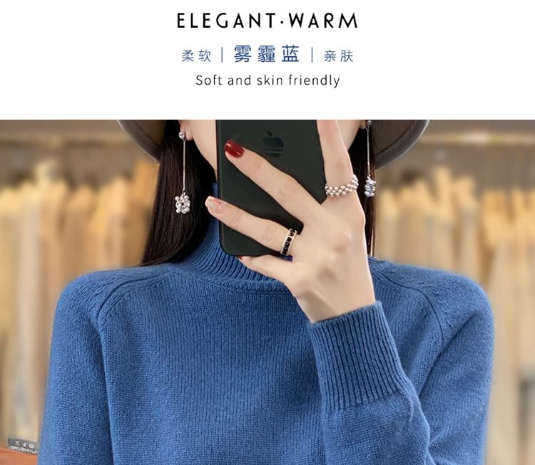 Turtleneck Plain Sweater