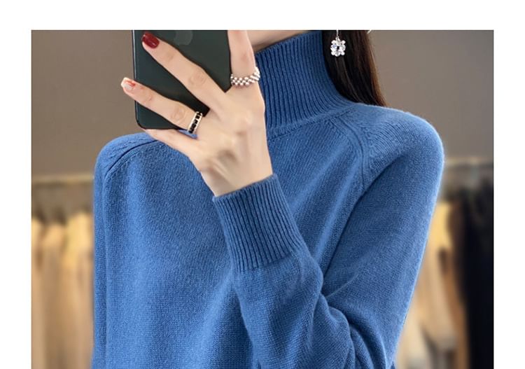 Turtleneck Plain Sweater
