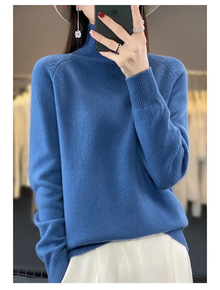 Turtleneck Plain Sweater