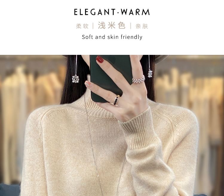 Turtleneck Plain Sweater