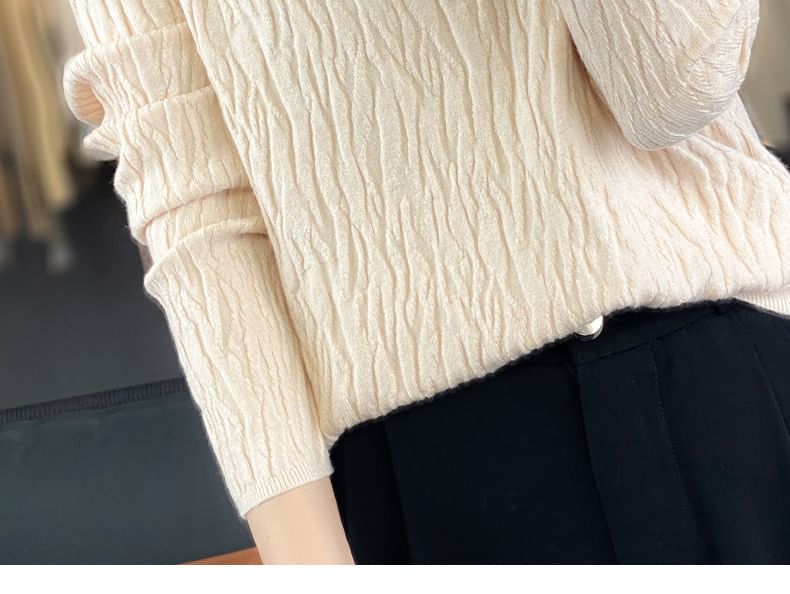 Long Sleeve Crew Neck Plain Texture Sweater