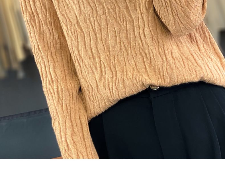 Long Sleeve Crew Neck Plain Texture Sweater