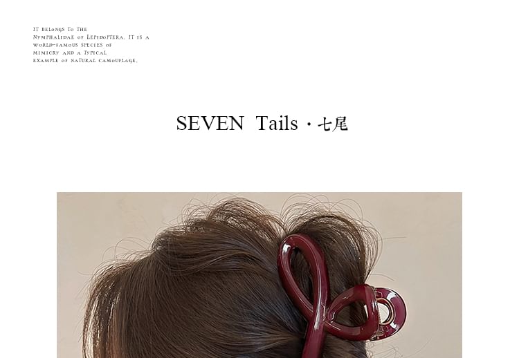 Claw Hair Clip Acrylic