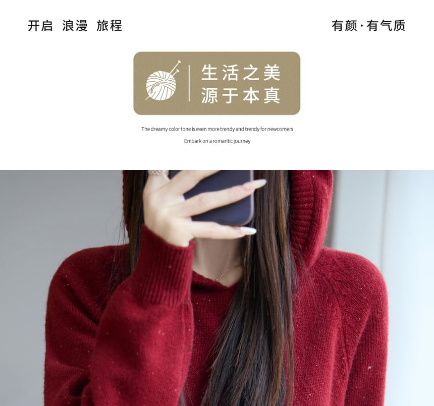 Drawstring Hooded Sweater