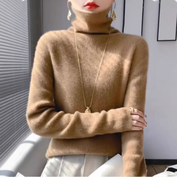Long-Sleeve Turtleneck Plain Knit Top