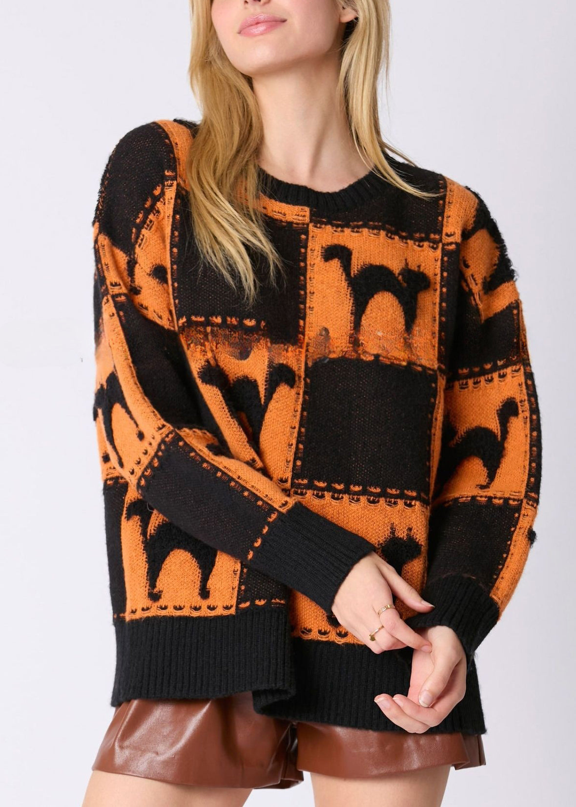 Orange Animal Cozy Knit Sweater O Neck Fall AE1027