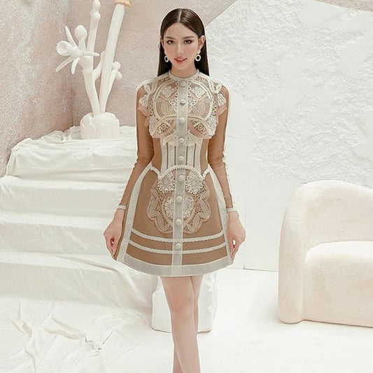 Long-Sleeve Paneled Button-Up Mini A-Line Lace Dress