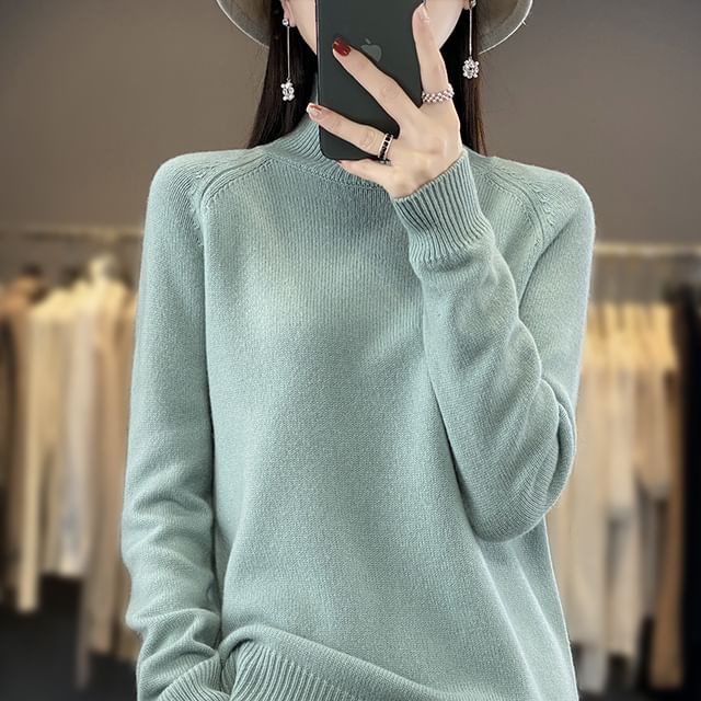 Turtleneck Plain Sweater