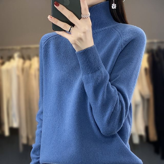 Turtleneck Plain Sweater