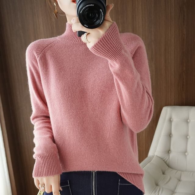 Long-Sleeve Turtleneck Plain Sweater