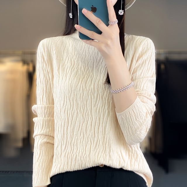 Long Sleeve Crew Neck Plain Texture Sweater