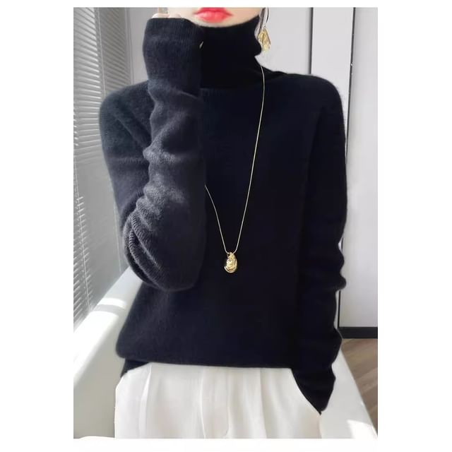 Long-Sleeve Turtleneck Plain Knit Top