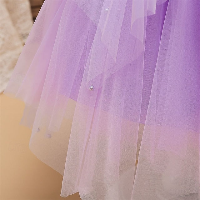 Flower Girl Girls' Princess Dress Kid's