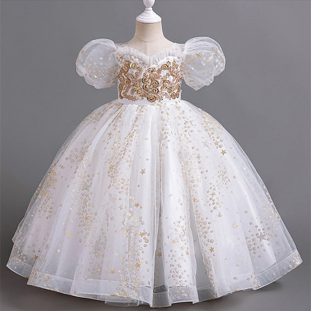 Princess Kid's Girl Dress Flower Girls'