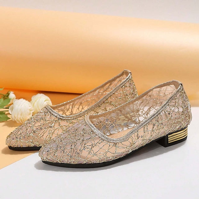 Women's Elegant Sequin Silver Ballet – Mesh Flats