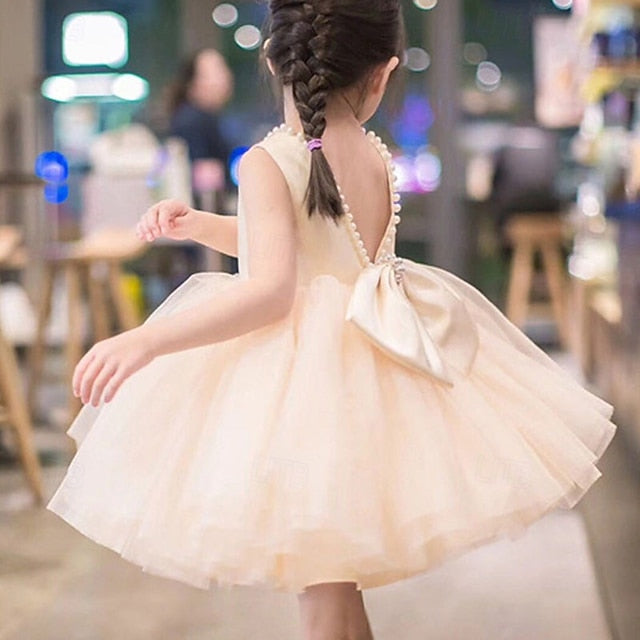 Girls' Flower Dress Kid's Princess Girl