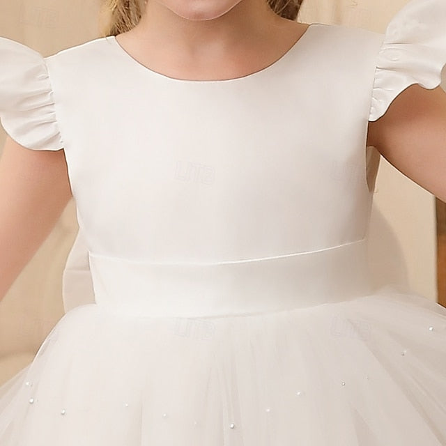 Girls' Kids Color Girl Flower Dress Party Solid