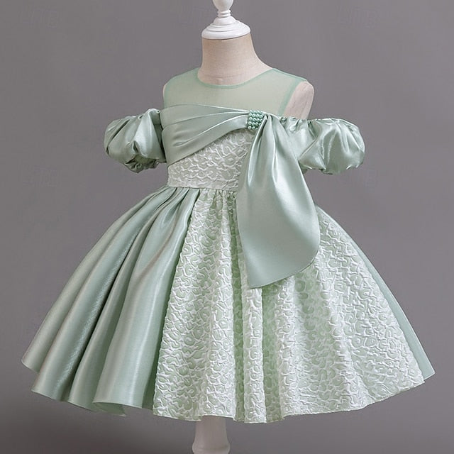 Girl Dress Girls' Formal Flower Wedding Party