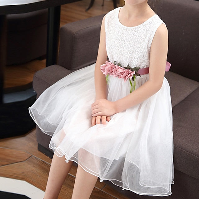 Girl Performance Party Dress Girls' Flower