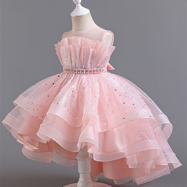 Flower Dress Girl Kid's Girls' Princess