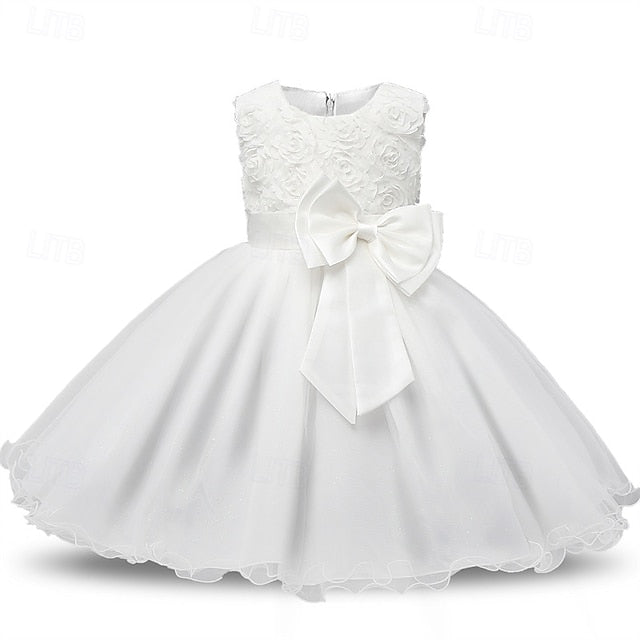 Dress Girl Flower Girls' Kid's Princess