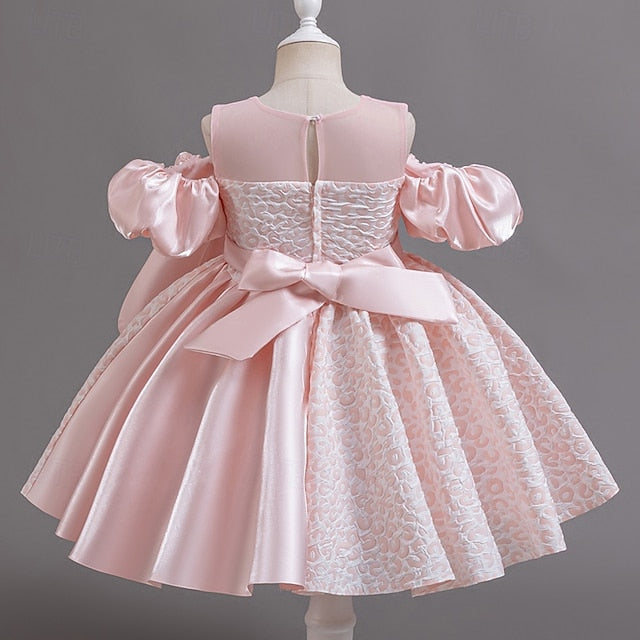 Girl Dress Girls' Formal Flower Wedding Party
