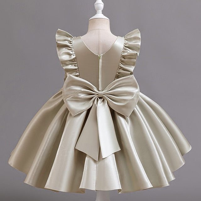 Floral Toddler Sleeveless Party Dress Wedding Girls'