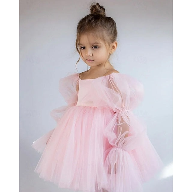 Flower Girls' Girl Dress Kid's Princess