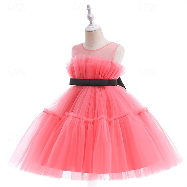 Princess Girls' Girl Flower Kid's Dress