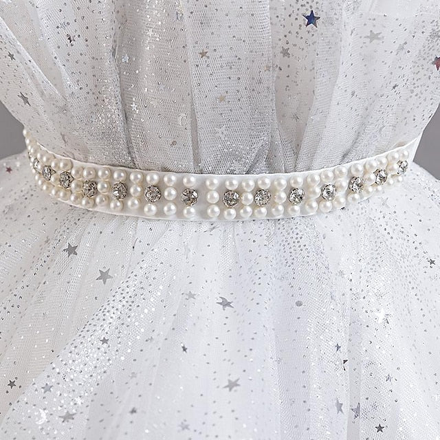 Sequin Girl Dress Sleeveless Flower Girls' Party Kids