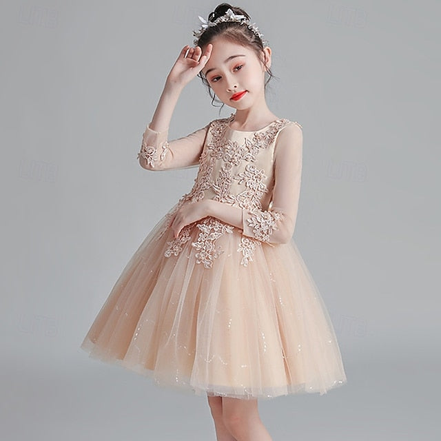 Flower Kid's Girls' Princess Girl Dress