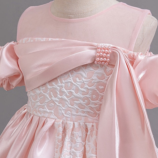 Girl Dress Girls' Formal Flower Wedding Party