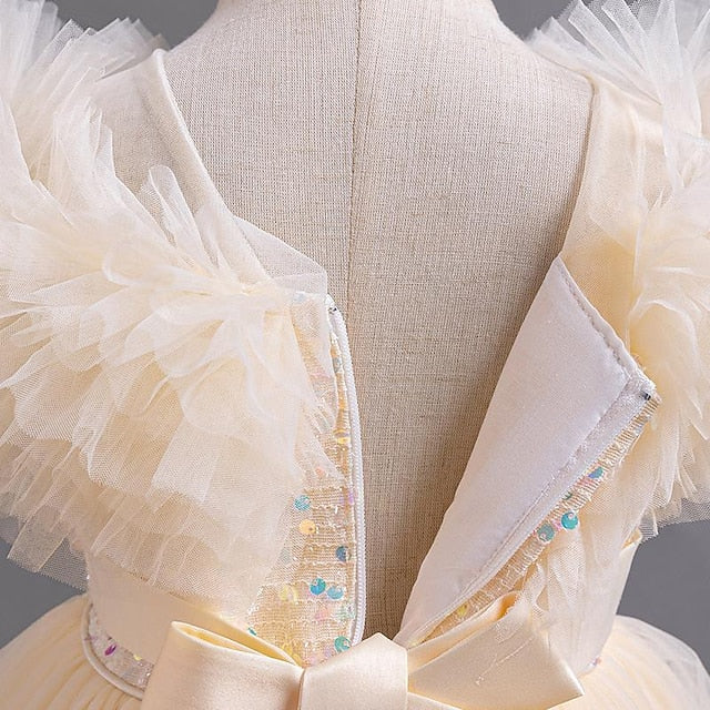 Kids Girls' Sleeveless Flower Party Sequin Girl Dress