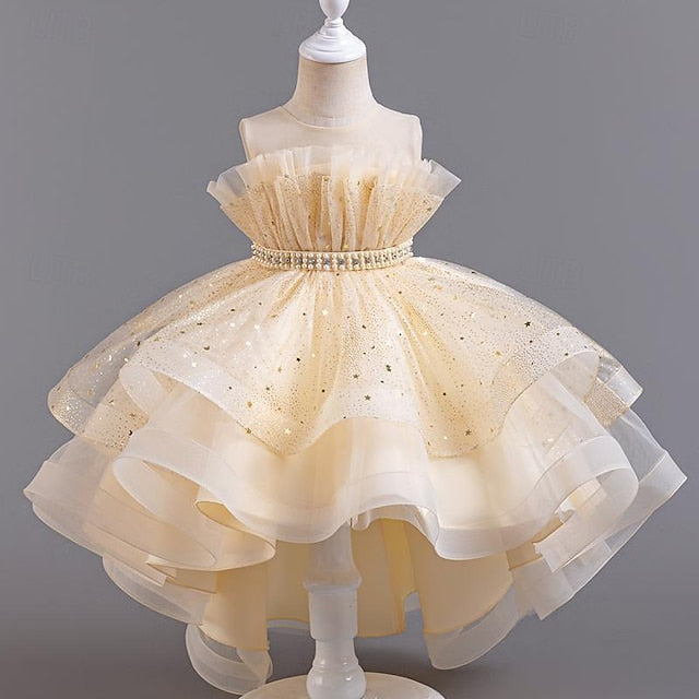Sequin Girl Dress Sleeveless Flower Girls' Party Kids