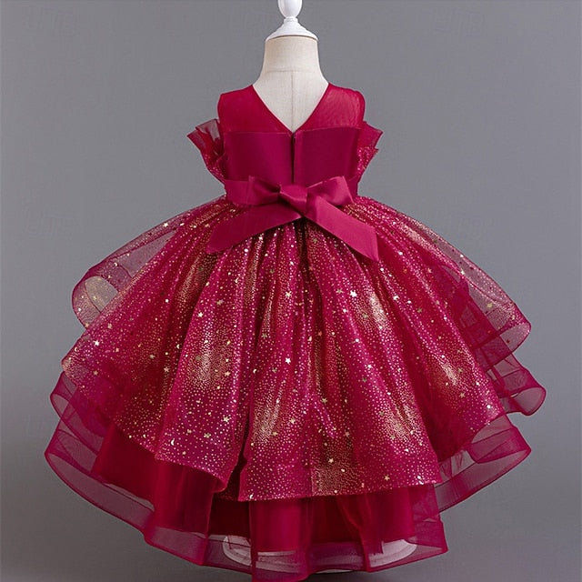 Flower Dress Girl Kid's Girls' Princess