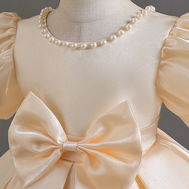 Girls' Dress Party Flower Girl Wedding Special