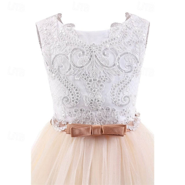 Flower Girls' Kid's Princess Dress Girl