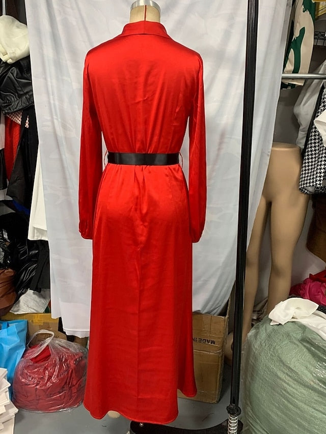 Women's Long Dress Maxi Dress Prom Dress Party Dress Sheath