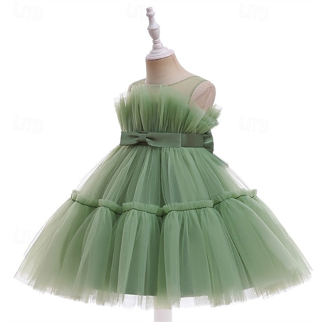 Princess Girls' Girl Flower Kid's Dress