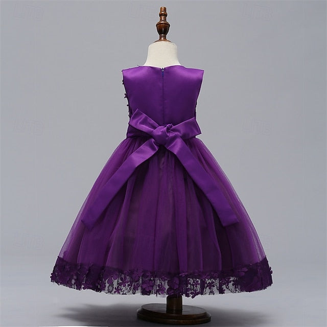 Girl Flower Girls' Princess Kid's Dress