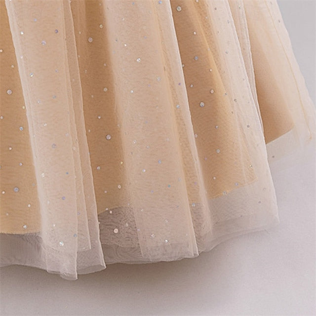 Dress Kids Party Color Block Girl Girls' Flower